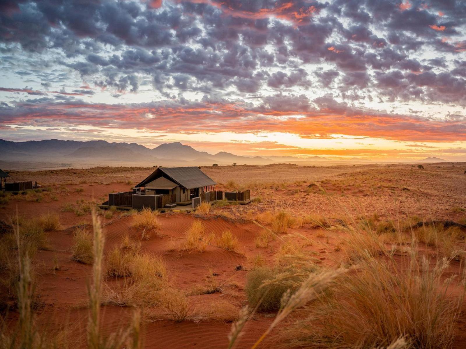 Wolwedans Dune Camp NamibRand Dış mekan fotoğraf